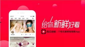 娱乐吃瓜酱视频模板免费